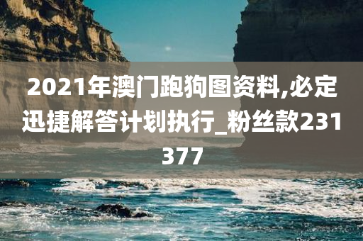 2021年澳门跑狗图资料,必定迅捷解答计划执行_粉丝款231377