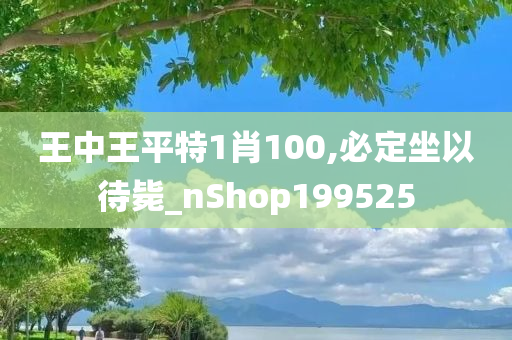 王中王平特1肖100,必定坐以待毙_nShop199525