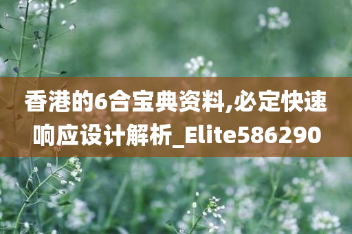 香港的6合宝典资料,必定快速响应设计解析_Elite586290