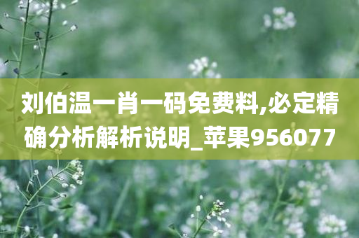 刘伯温一肖一码免费料,必定精确分析解析说明_苹果956077