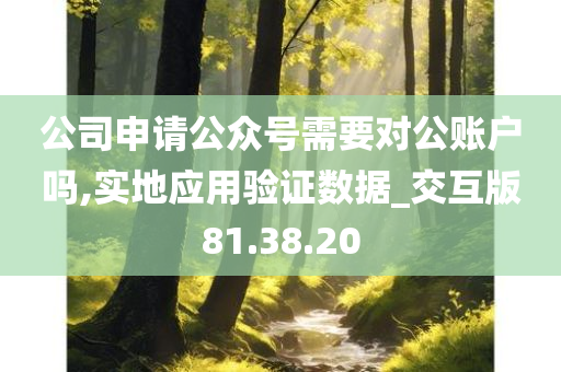 公司申请公众号需要对公账户吗,实地应用验证数据_交互版81.38.20