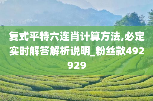 复式平特六连肖计算方法,必定实时解答解析说明_粉丝款492929