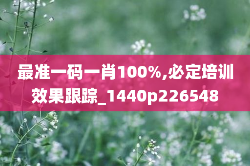 最准一码一肖100%,必定培训效果跟踪_1440p226548