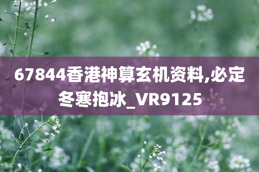 67844香港神算玄机资料,必定冬寒抱冰_VR9125