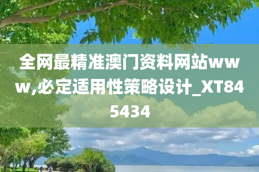 全网最精准澳门资料网站www,必定适用性策略设计_XT845434