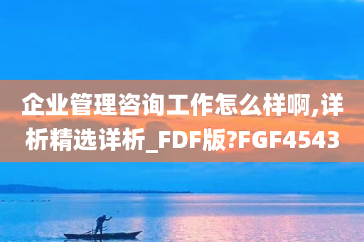 企业管理咨询工作怎么样啊,详析精选详析_FDF版?FGF4543