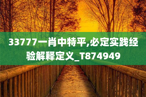 33777一肖中特平,必定实践经验解释定义_T874949