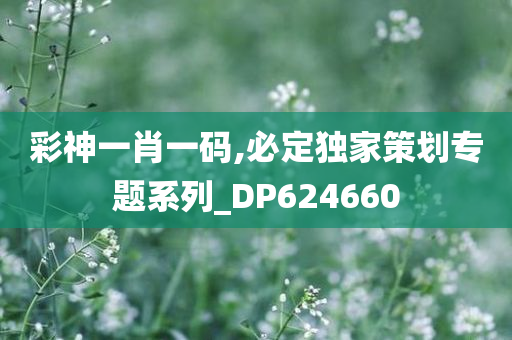 彩神一肖一码,必定独家策划专题系列_DP624660