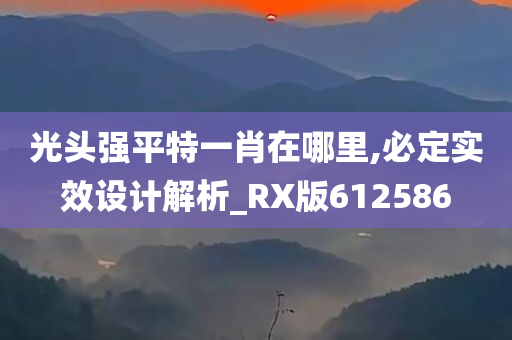 光头强平特一肖在哪里,必定实效设计解析_RX版612586