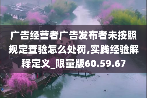 广告经营者广告发布者未按照规定查验怎么处罚,实践经验解释定义_限量版60.59.67