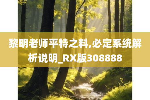 黎明老师平特之料,必定系统解析说明_RX版308888