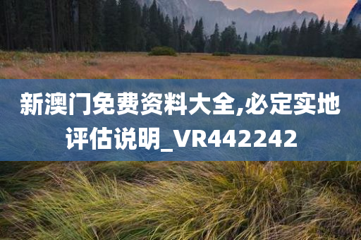 新澳门免费资料大全,必定实地评估说明_VR442242