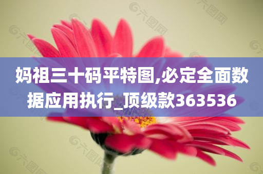 妈祖三十码平特图,必定全面数据应用执行_顶级款363536