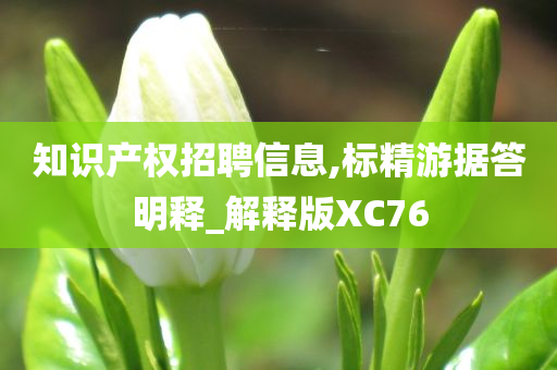 知识产权招聘信息,标精游据答明释_解释版XC76