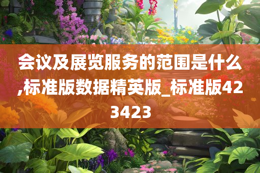 会议及展览服务的范围是什么,标准版数据精英版_标准版423423