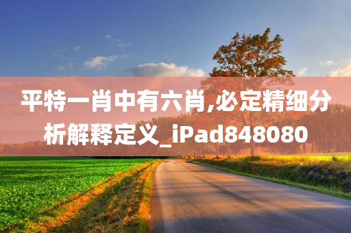 平特一肖中有六肖,必定精细分析解释定义_iPad848080