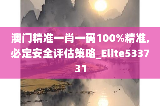 澳门精准一肖一码100%精准,必定安全评估策略_Elite533731