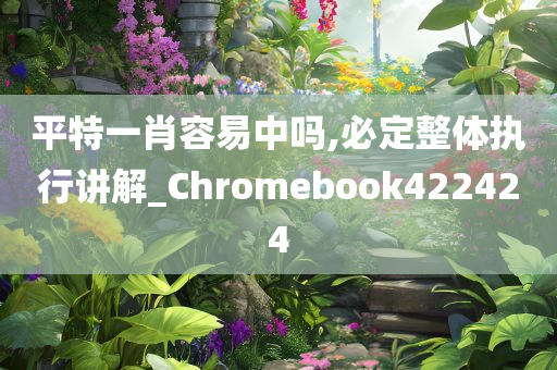 平特一肖容易中吗,必定整体执行讲解_Chromebook422424