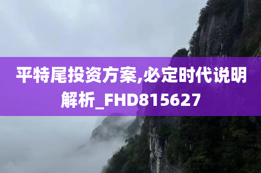 平特尾投资方案,必定时代说明解析_FHD815627