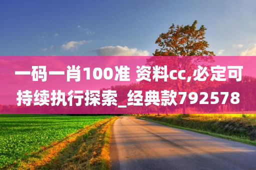 一码一肖100准 资料cc,必定可持续执行探索_经典款792578