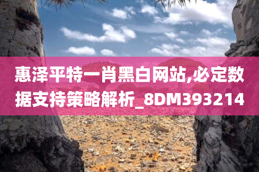 惠泽平特一肖黑白网站,必定数据支持策略解析_8DM393214