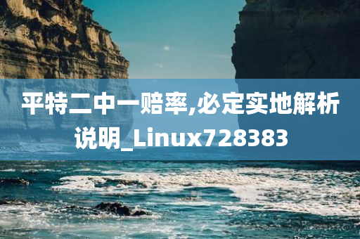 平特二中一赔率,必定实地解析说明_Linux728383