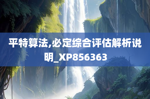 平特算法,必定综合评估解析说明_XP856363