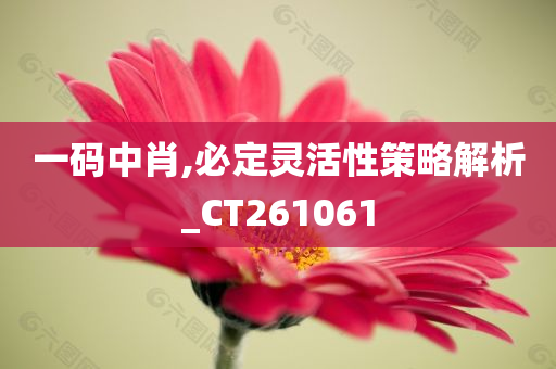 一码中肖,必定灵活性策略解析_CT261061