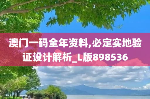 澳门一码全年资料,必定实地验证设计解析_L版898536