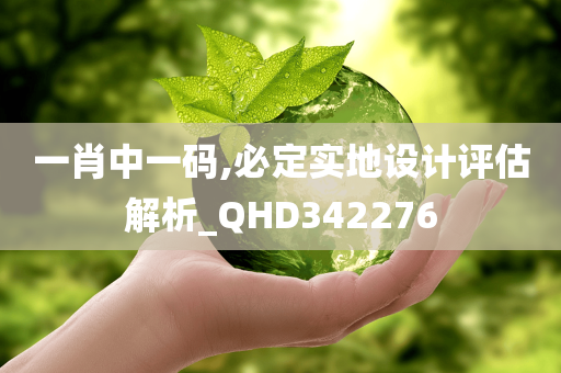 一肖中一码,必定实地设计评估解析_QHD342276