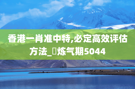 香港一肖准中特,必定高效评估方法_‌炼气期5044