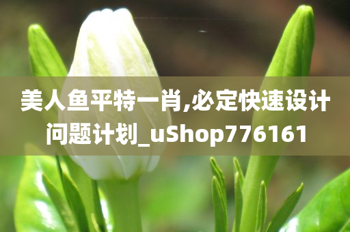 美人鱼平特一肖,必定快速设计问题计划_uShop776161