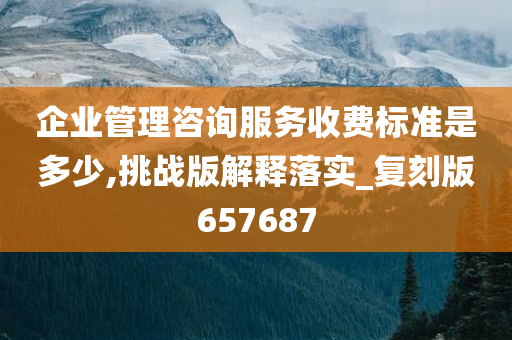 企业管理咨询服务收费标准是多少,挑战版解释落实_复刻版657687