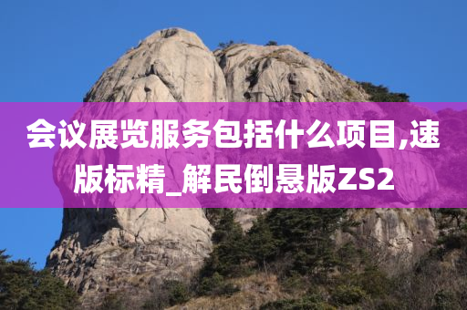 会议展览服务包括什么项目,速版标精_解民倒悬版ZS2