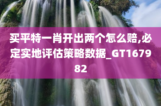 买平特一肖开出两个怎么赔,必定实地评估策略数据_GT167982