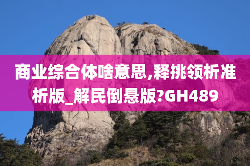 商业综合体啥意思,释挑领析准析版_解民倒悬版?GH489