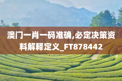 澳门一肖一码准确,必定决策资料解释定义_FT878442