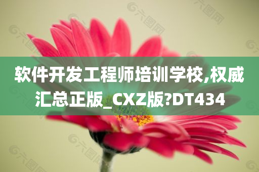 软件开发工程师培训学校,权威汇总正版_CXZ版?DT434