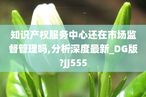 知识产权服务中心还在市场监督管理吗,分析深度最新_DG版?JJ555