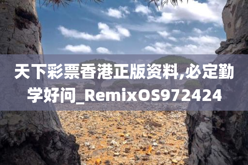 天下彩票香港正版资料,必定勤学好问_RemixOS972424