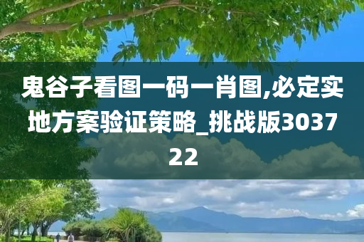 鬼谷子看图一码一肖图,必定实地方案验证策略_挑战版303722