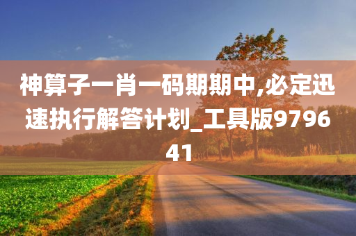 神算子一肖一码期期中,必定迅速执行解答计划_工具版979641