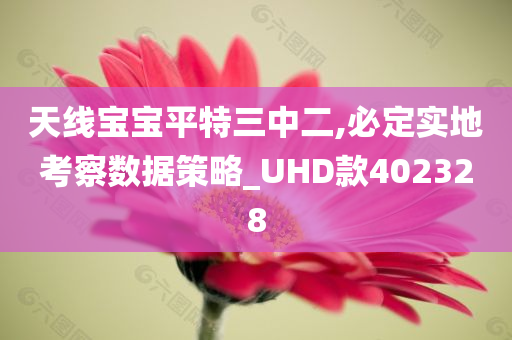 天线宝宝平特三中二,必定实地考察数据策略_UHD款402328