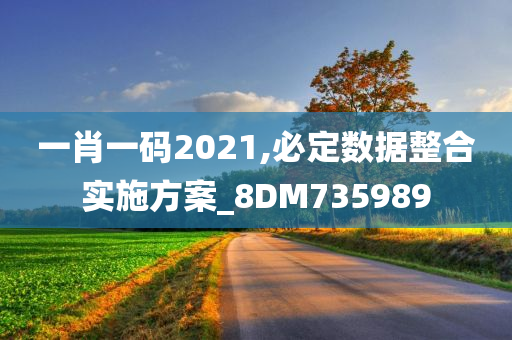 一肖一码2021,必定数据整合实施方案_8DM735989