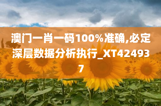 澳门一肖一码100%准确,必定深层数据分析执行_XT424937