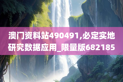 澳门资料站490491,必定实地研究数据应用_限量版682185