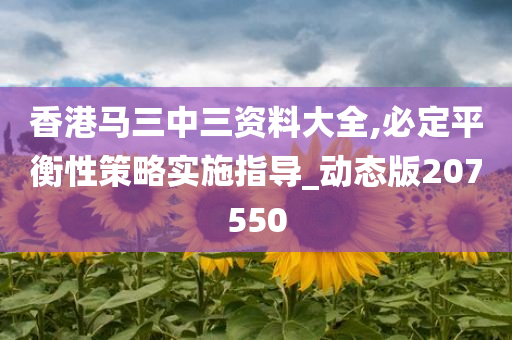 香港马三中三资料大全,必定平衡性策略实施指导_动态版207550