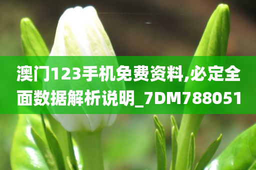 澳门123手机免费资料,必定全面数据解析说明_7DM788051