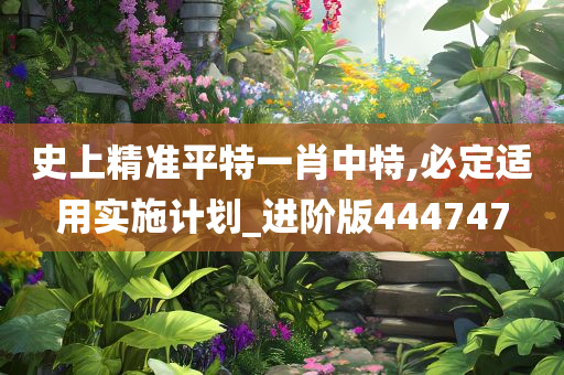 史上精准平特一肖中特,必定适用实施计划_进阶版444747