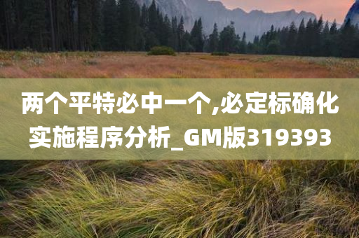 两个平特必中一个,必定标确化实施程序分析_GM版319393